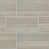 Charisma Silver 12 x 24 Matte