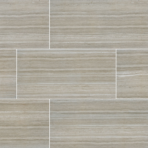 Charisma Silver 12 x 24 Matte