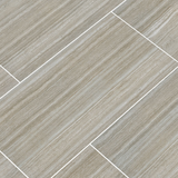 Charisma Silver 12 x 24 Matte
