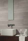 Charisma Silver 12 x 24 Matte