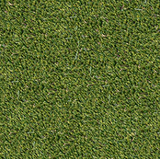 Evergrass™ Viridian Turf 910z
