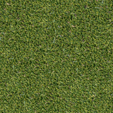 Evergrass™ Viridian Turf 910z