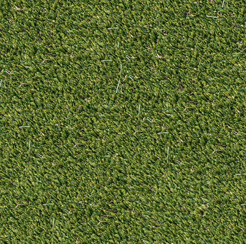 Evergrass™ Viridian Turf 910z