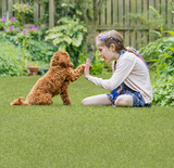 Evergrass® Emerald Green Turf 110oz